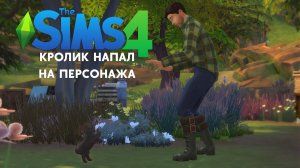 ASMR Игра / The Sims 4 #2 / Что вытворяет этот кролик? / Видео для сна | FoxyASMR