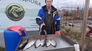 VID_20251119_191841_532