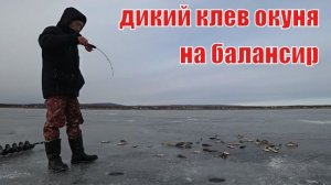 Зимняя рыбалка на окуня