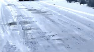 Встреча с медведями на Камчатке