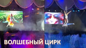 Новый хит "Волшебный цирк"