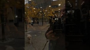 📍 Инвестиционный проект — Santo Stefano di Magra, Италия 5 зданий одним лотом — 370 000 €