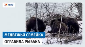 Медведица с двумя медвежатами украла улов у рыбака на Камчатке