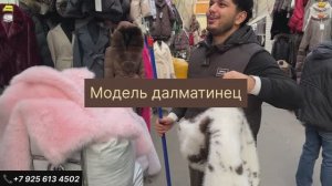 ЖЕНСКИЕ ПАЛЬТО ЭКО ШУБЫ КУРТКИ И ПУХОВИКИ ПО САМЫМ ДОСТУПНЫМ ЦЕНАМ !