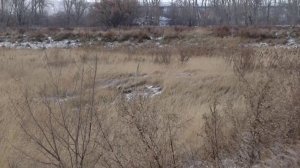 ОПАСНЫЙ ШЛАМ ЗАКОНСЕРВИРУЮТ