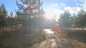 Прогулка солнечным днём