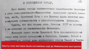 Седьмая лекция из цикла "Советско-финляндская война 1939-1940 гг."