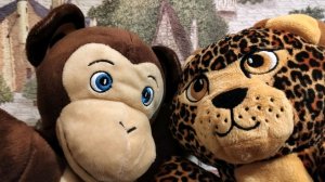 Интересные факты