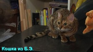 Ответы на Вопросы по Мистике от 19.11.25