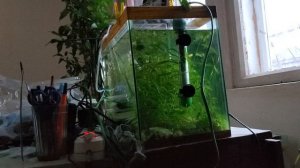 люди не меняются .....