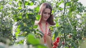 Студенты вузов России посетили рассадный комплекс "Росток"