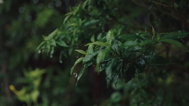 Музыка для Сна, восстановление сил, спокойствия, медитация и релаксации.