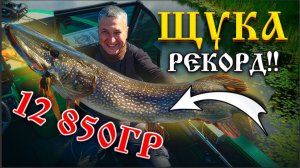 Вот это #Трофей #Щука от Брата #Гигант #ТрофейнаяРыбалка#