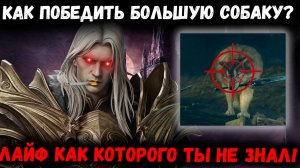 Как победить Босса Первой Карты в Трансильвании? Годный Совет который я не знал! | Watcher of Realms