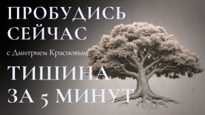 Как Найти Внутреннюю Тишину За 5 Минут?