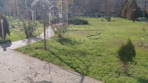 Железноводск.Ноябрьская красота города-курорта.2025 г .Санаторий (Дубрава)