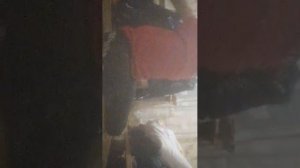 260отжиманий (нет)