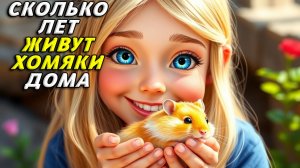 Сколько лет живут хомяки в домашних условиях