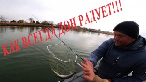 РЫБАЛКА В НИЗОВЬЕ ДОНА СНОВА ПОРАДОВАЛА…