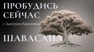 Шавасана ПРОБУЖДАЮЩАЯ СОЗНАНИЕ. Ритрит на Самуи, май 2025г.