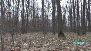 «Вкусняшки» против бешенства: в Старом Осколе лисиц прививают съедобной вакциной