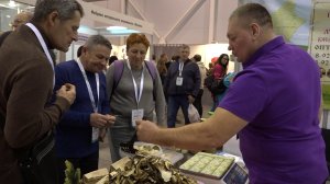 Выставка сибирского гостеприимства «Дикоросы» проходит в Экспоцентре