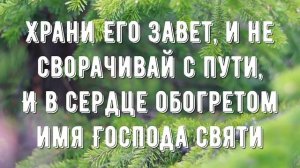 Будь верен в испытаньях - минус мой 1