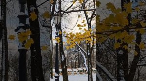 Заснеженный Питер