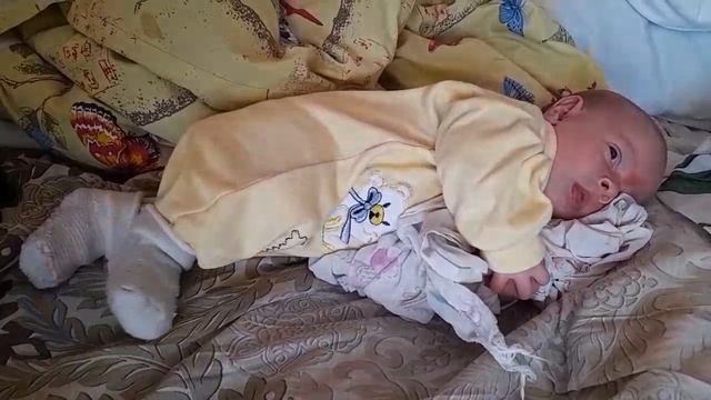 26 дней ( 17 августа 2022)