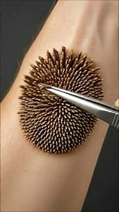 АСМР 100% реалистичное ощущение текстуры в 4K смотреть онлайн