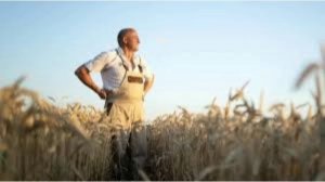 20 ноября - Федотов день. Традиции и народные приметы