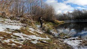 РЫБАЛКА НА ПОПЛАВОЧНУЮ УДОЧКУ В НОЯБРЕ