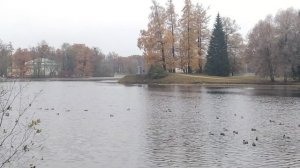 VID_20231101_144750.mp4