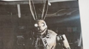 трансляция в 20:30