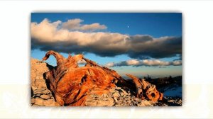 CJ Mind - And I`m Feeling Young Again (cut version)