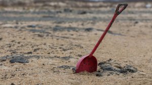 Девушку заживо закопали в песок на глазах у пса