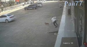 Эпичная погоня