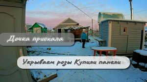 Дочка приехала Розы укрываем Купили панели