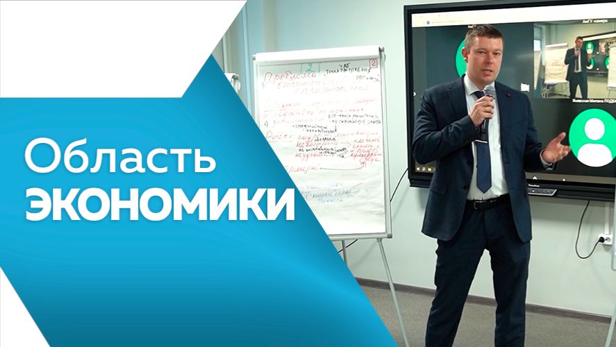 Область экономики №161