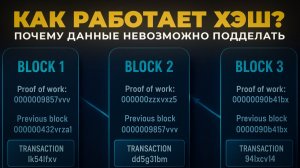 Как Работает Хэш в Блокчейне и Почему Данные в Блокчейне Невозможно Подделать
