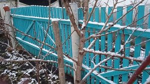 Как определить цветочные почки у персика осенью