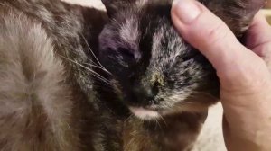 Леся и Сёма - Подарок от мамы