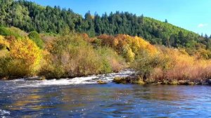 Откровение вселенной - Ключевой прогноз на 19 ноября.