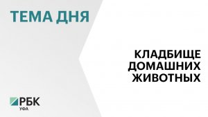 В Уфе хотят построить кладбище и колумбарий для домашних животных