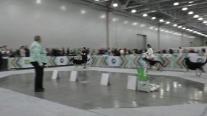 Сравнение-расстановка класса чемпионов