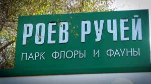 ЗООПАРК ГОТОВИТСЯ К ЗИМЕ