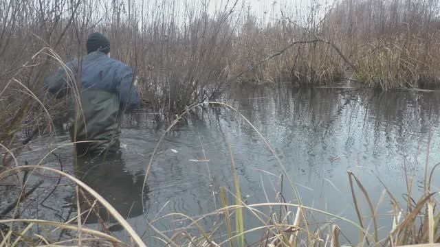 Охота на бобра. Ставлю и проверяю капканы. Работа над ошибками. смотреть онлайн