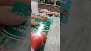 обзор семян томат