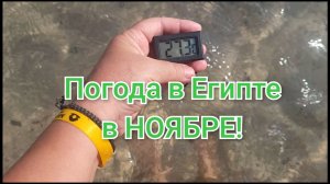 🔥Золотой сезон в Египте,погода,температура воды!🌡🏊