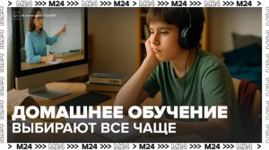 Число детей на домашнем обучении в России выросло в 5 раз за 5 лет - Москва 24